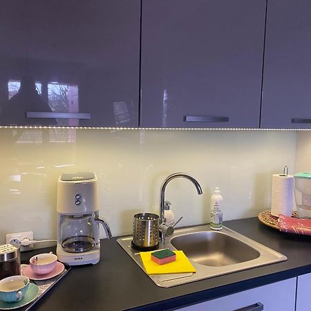 Dyrekcyjna Apartment 弗罗茨瓦夫 外观 照片